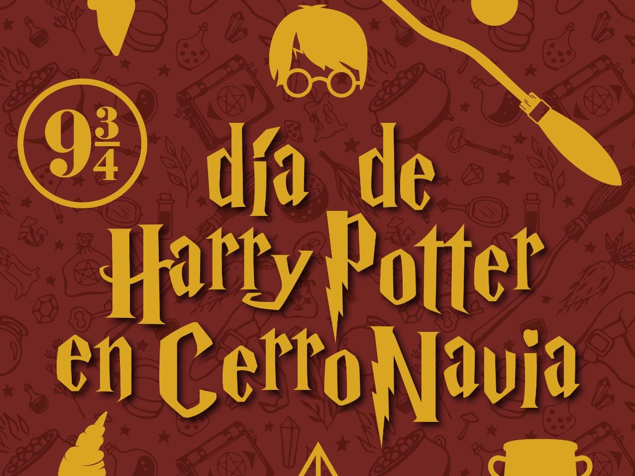 Afiche Harry Potter