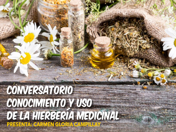 Conversatorio «Conocimiento y uso de la hierbería medicinal»